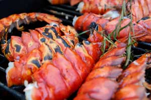 char-grilled-bugs