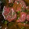 How to Marinate Meat